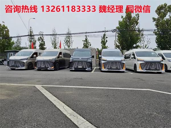 海狮9座大尺寸商务车卖价进口丰田海狮蓝牌MPV(图4)